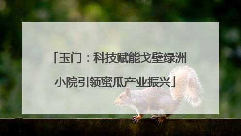 玉门：科技赋能戈壁绿洲 小院引领蜜瓜产业振兴