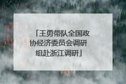 王勇带队全国政协经济委员会调研组赴浙江调研