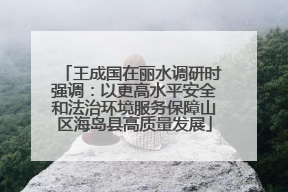 王成国在丽水调研时强调：以更高水平安全和法治环境服务保障山区海岛县高质量发展