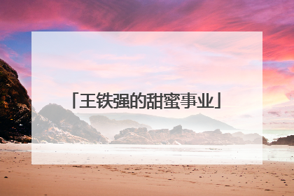 王铁强的甜蜜事业