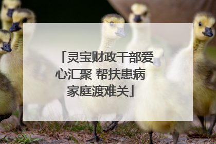 灵宝财政干部爱心汇聚 帮扶患病家庭渡难关