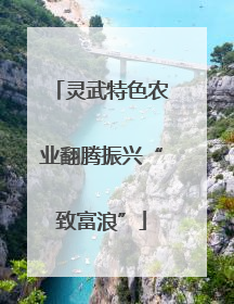 灵武特色农业翻腾振兴“致富浪”