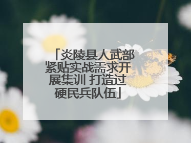 炎陵县人武部紧贴实战需求开展集训 打造过硬民兵队伍