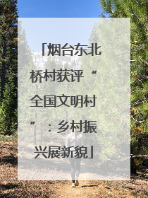 烟台东北桥村获评“全国文明村”：乡村振兴展新貌