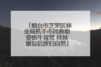 烟台市芝罘区林业局携手市民救助受伤牛背鹭 待其康复后放归自然
