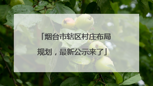 烟台市辖区村庄布局规划，最新公示来了