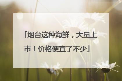 烟台这种海鲜，大量上市！价格便宜了不少