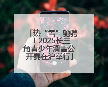 热“雪”驰骋！2025长三角青少年滑雪公开赛在沪举行