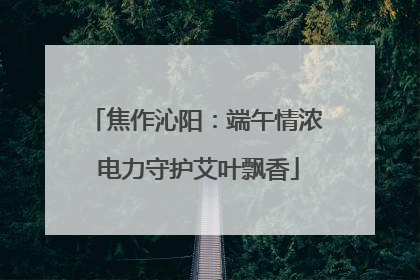 焦作沁阳：端午情浓 电力守护艾叶飘香