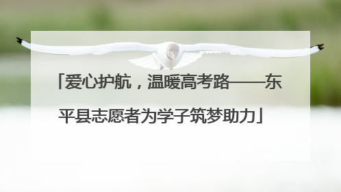 爱心护航，温暖高考路——东平县志愿者为学子筑梦助力