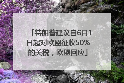 特朗普建议自6月1日起对欧盟征收50%的关税，欧盟回应