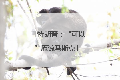 特朗普：“可以”原谅马斯克