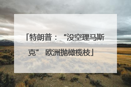 特朗普：“没空理马斯克” 欧洲抛橄榄枝