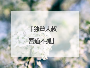 独臂大叔 吾道不孤