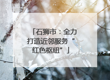 石狮市：全力打造近邻服务“红色枢纽”