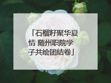 石榴籽聚华夏情 随州职院学子共绘团结卷