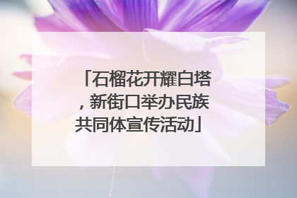 石榴花开耀白塔，新街口举办民族共同体宣传活动