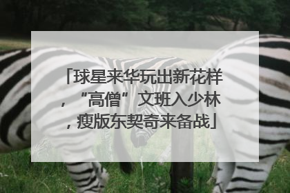 球星来华玩出新花样，“高僧”文班入少林，瘦版东契奇来备战