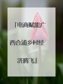 电商赋能广西合浦乡村经济腾飞