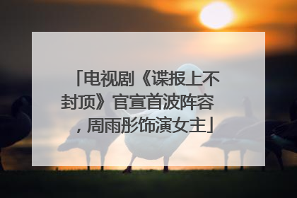 电视剧《谍报上不封顶》官宣首波阵容，周雨彤饰演女主