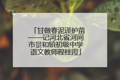 甘做春泥谨护苗——记河北省河间市景和镇初级中学语文教师程桂霞