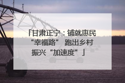 甘肃正宁：铺就惠民“幸福路” 跑出乡村振兴“加速度”