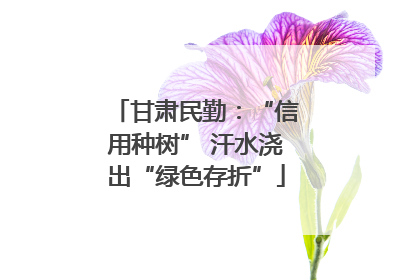 甘肃民勤：“信用种树” 汗水浇出“绿色存折”