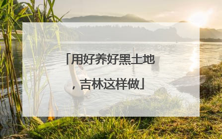 用好养好黑土地，吉林这样做