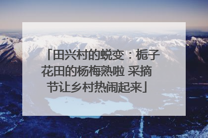田兴村的蜕变：栀子花田的杨梅熟啦 采摘节让乡村热闹起来