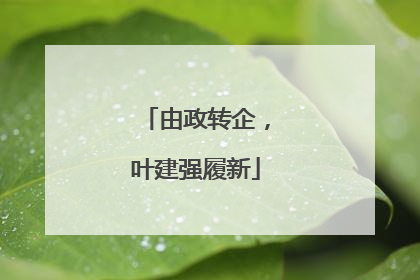 由政转企，叶建强履新