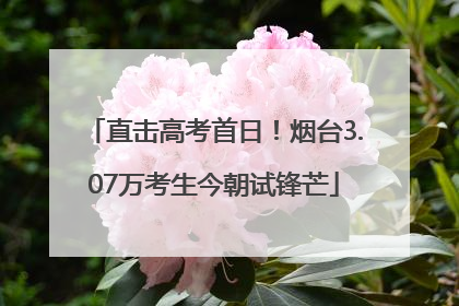 直击高考首日！烟台3.07万考生今朝试锋芒