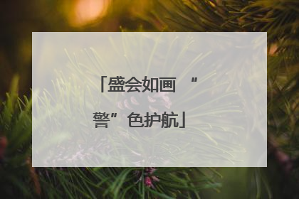 盛会如画 “警”色护航