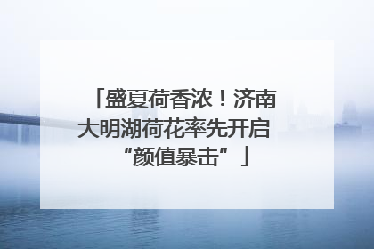 盛夏荷香浓！济南大明湖荷花率先开启“颜值暴击”