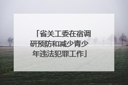 省关工委在宿调研预防和减少青少年违法犯罪工作