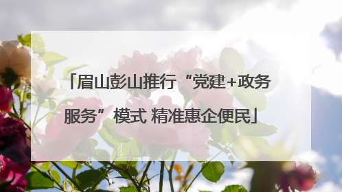 眉山彭山推行“党建+政务服务”模式 精准惠企便民