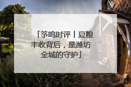 筝鸣时评丨夏粮丰收背后，是潍坊全城的守护