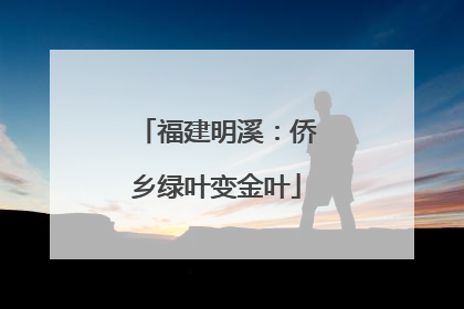 福建明溪：侨乡绿叶变金叶