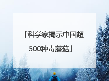 科学家揭示中国超500种毒蘑菇