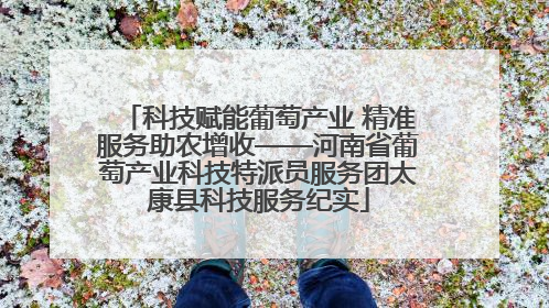 科技赋能葡萄产业 精准服务助农增收——河南省葡萄产业科技特派员服务团太康县科技服务纪实