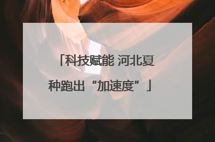 科技赋能 河北夏种跑出“加速度”