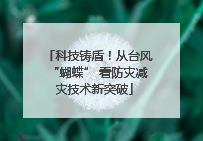 科技铸盾！从台风“蝴蝶” 看防灾减灾技术新突破