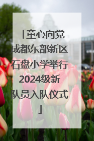 童心向党 成都东部新区石盘小学举行2024级新队员入队仪式