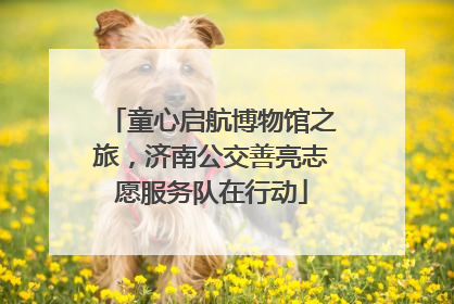 童心启航博物馆之旅，济南公交善亮志愿服务队在行动