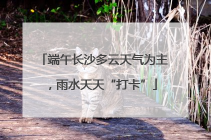 端午长沙多云天气为主，雨水天天“打卡”