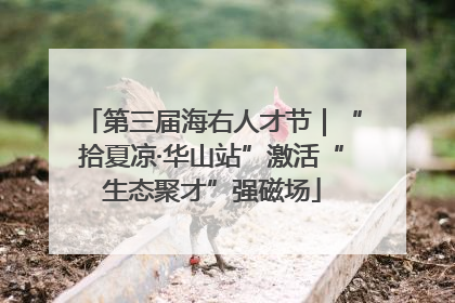 第三届海右人才节｜“拾夏凉·华山站”激活“生态聚才”强磁场