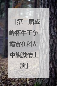第二届成峰杯牛王争霸赛在科左中旗激情上演