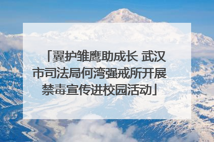 翼护雏鹰助成长 武汉市司法局何湾强戒所开展禁毒宣传进校园活动