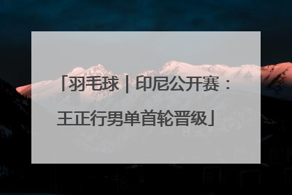 羽毛球｜印尼公开赛：王正行男单首轮晋级