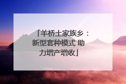 羊桥土家族乡：新型套种模式 助力增产增收