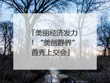 美丽经济发力！“美创静界”首秀上交会
